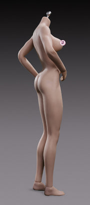Tbleague Super-Flexible Mujer sin costuras 1/6 Escala Suntan Busto medio Cuerpo alto (S25B) 