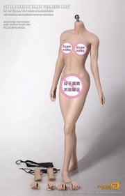 TBleague / Phicen Female Body Collection S01A- S29B