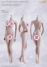 TBleague / Phicen Female Body Collection S01A- S29B