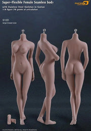 TBleague / Phicen Female Body Collection S01A- S29B