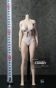 1/6 Phicen / TBleague Female Body S07C S32A S34A S36A S38A S42A
