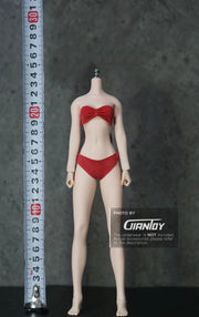 1/6 Phicen / TBleague Female Body S07C S32A S34A S36A S38A S42A