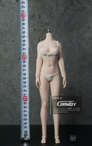 1/6 Phicen / TBleague Female Body S07C S32A S34A S36A S38A S42A