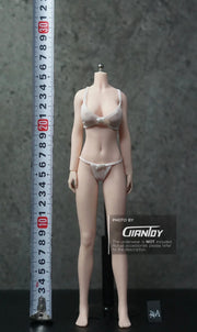 1/6 Phicen / TBleague Female Body S07C S32A S34A S36A S38A S42A