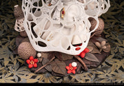 Reverse Studio The Mushroom Girls Series No. 2 Dictyophora Indusiata 1/1 Scale Figure